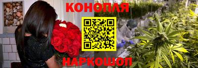 гидра Пушкино